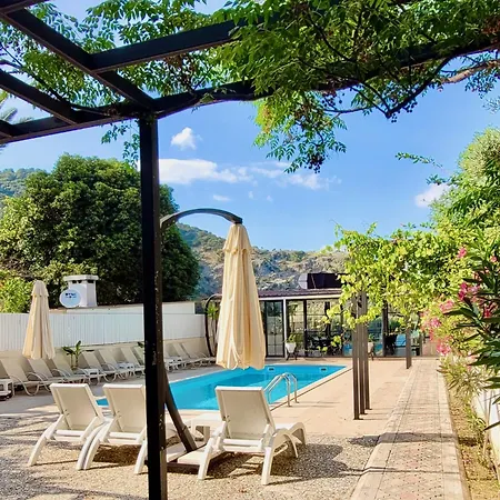 Arp Hotell