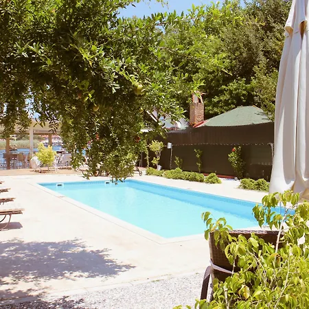 Hotel Arp