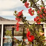 Arp Hotel