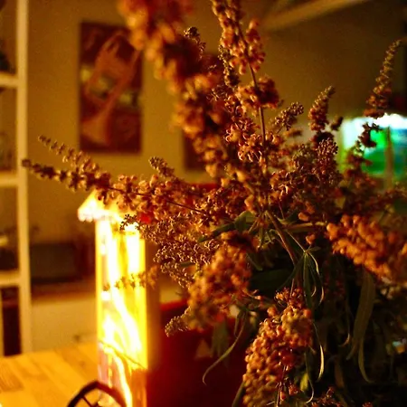 Hotel Arp 2*