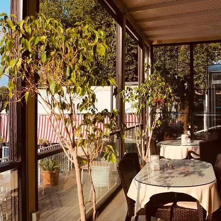 Arp Hotel 2*