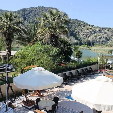Arp 2* Dalyan